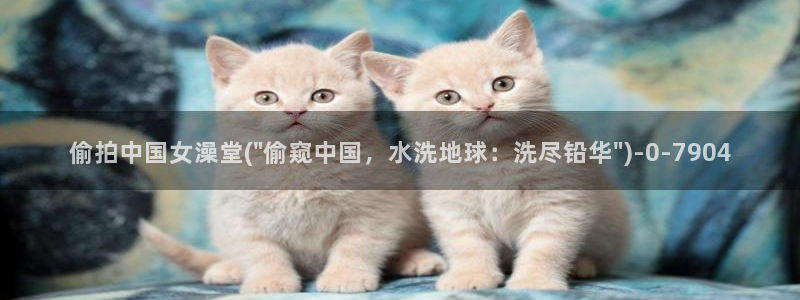 自偷拍免费视频